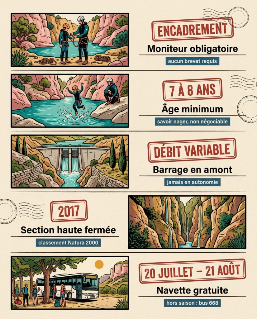 Infographie : accès et conditions requises