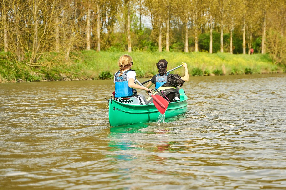 Deux femmes pagaient en canoë vert sur une rivière calme lors d'une belle journée d'été