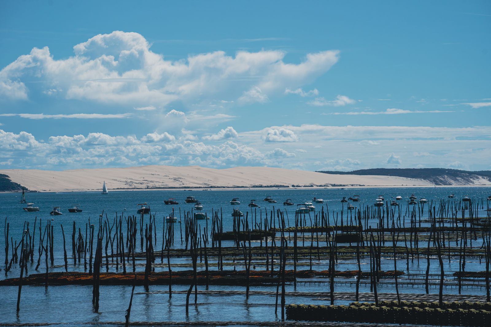 Fermes d'huîtres et bateaux dans le bassin d'Arcachon sous ciel bleu.